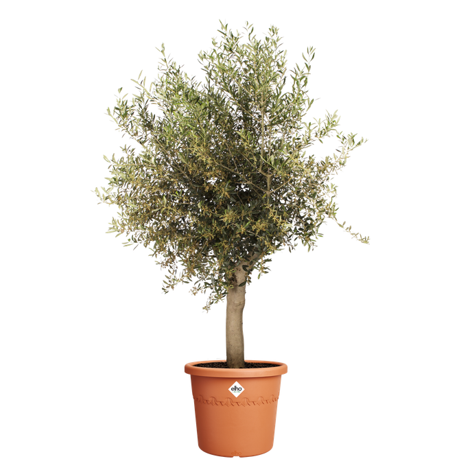 algarve cilindro 48cm terre cuite